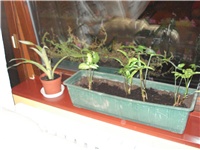 8328aa27-11.08.2009 010.jpg